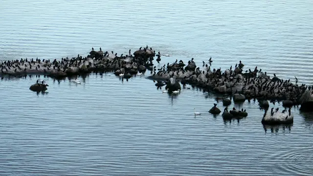Die Fotos vorher stammen allesamt vom Baldeneysee, dieses und das nächste Foto wurden in den Schärengärten vor Stockholm gemacht.
