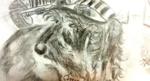 Porträt eines Fans.