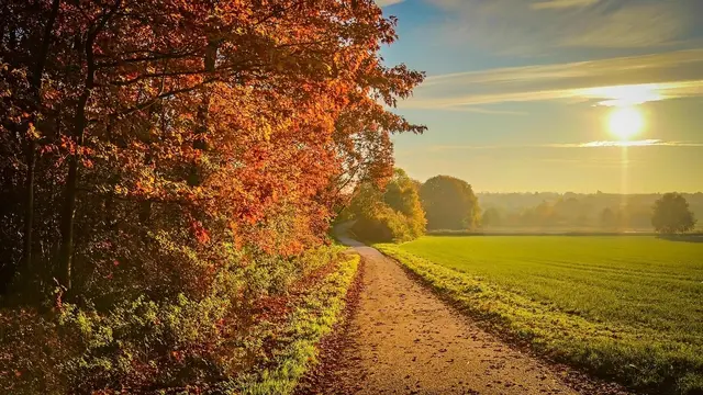 Typische Fotomotive für den September spiegeln die besondere Stimmung des beginnenden Herbstes wider und bieten eine Fülle von Farben, Lichtspielen und landschaftlichen Highlights.
Bild von ddzphoto auf Pixabay