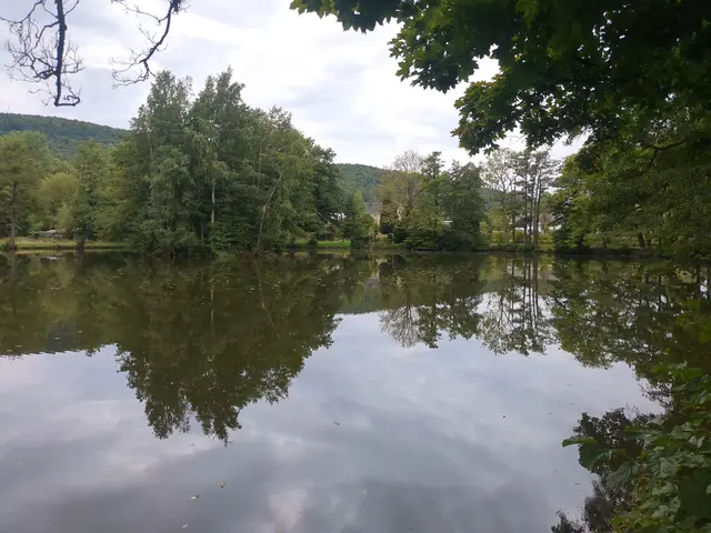 Oberer Hüttenteich, Saigerhütte, Olbernhau | Foto: Astrid Günther