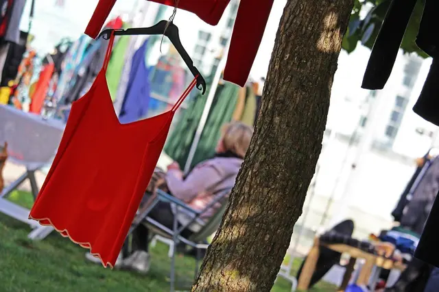 Foto: Foto: Pixabay Content License KRiemer