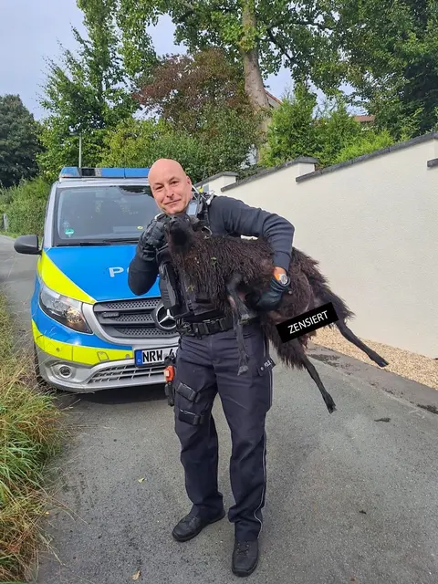 Sherriff Lars (54) hat den Bock bei den Hörnern gepackt und das Duell ohne Blutvergießen beendet. | Foto: Polizei Bochum