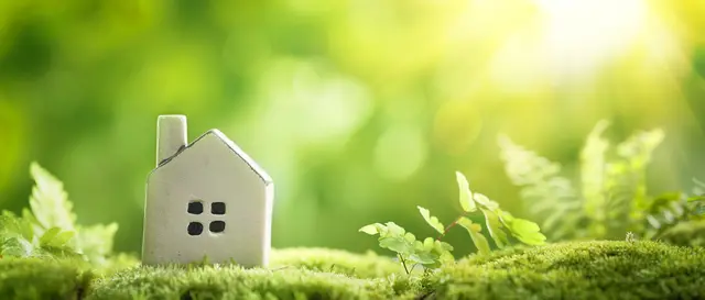 Foto: powerstock - stock.adobe.com