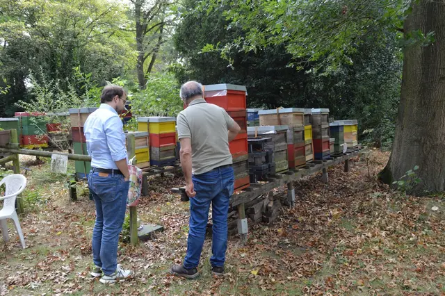 Foto: Stephie Nordmann 