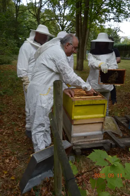 Foto: Stephie Nordmann 