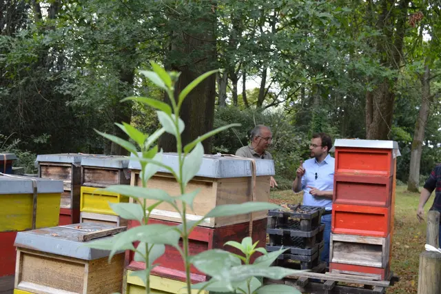 Foto: Stephie Nordmann 