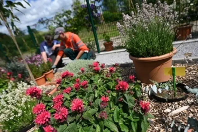 Foto: Foto: Kreis Recklinghausen 