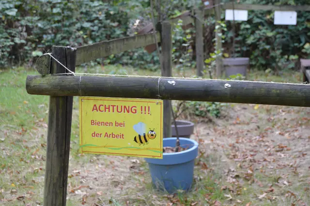 Foto: Stephie Nordmann 