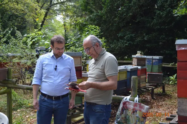 Foto: Stephie Nordmann 