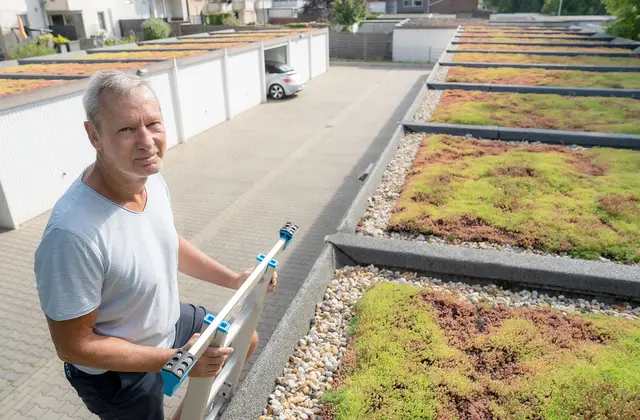 Oft steigt Jürgen Kleine-Natrop den Garagen nicht aufs Dach, die Dachbegrünung braucht nur wenig Pflege. Foto: Kirsten Neumann/EGLV