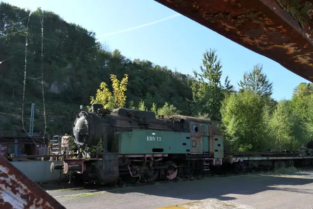 "Zugewachsen" fängt mit "Zug" an!