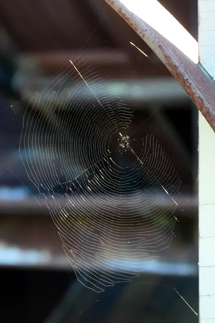 Web-Design vom Feinsten