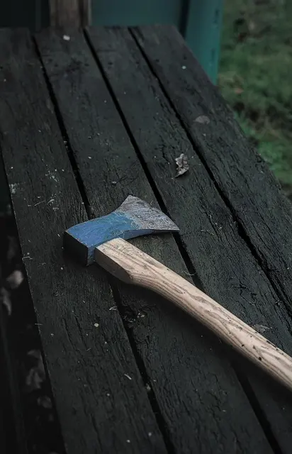 Mit einer Axt schlugen die Einbrecher auf eine Scheibe ein.  | Foto: Symbolbild: Jonas auf Pixabay