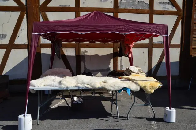 Foto: @Sabine Schlücking