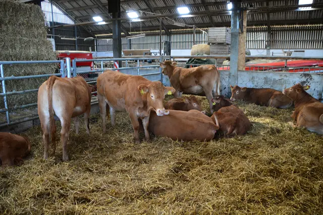 Foto: @Sabine Schlücking