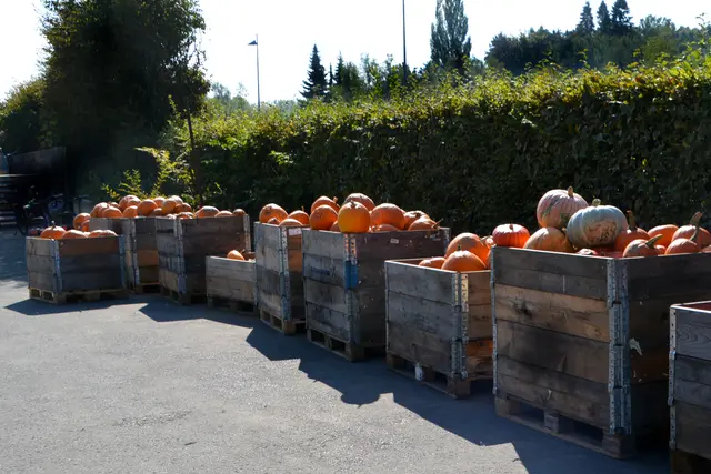 Foto: @Sabine Schlücking