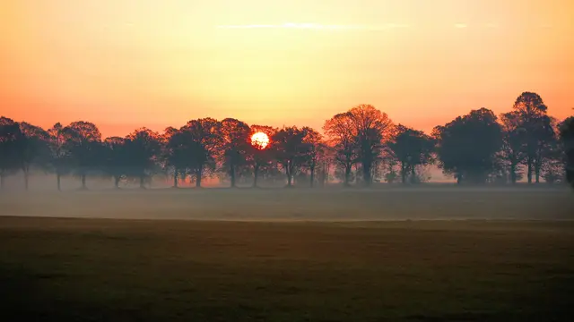 Sonnenaufgang am Darß