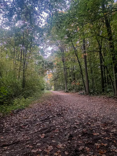 HerbstLichKeiten  | Foto: Kreative Impressionen, Chr. Niersmann 