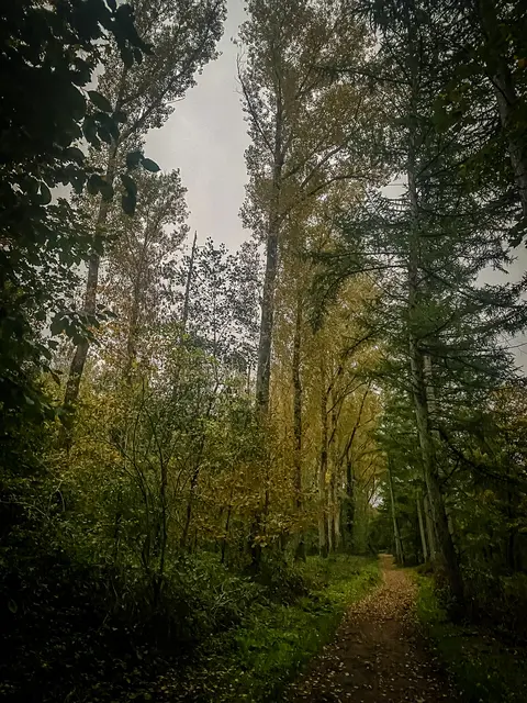HerbstLichKeiten  | Foto: Kreative Impressionen, Chr. Niersmann 