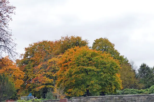 Der Herbst wie wir ihn kennen und lieben.