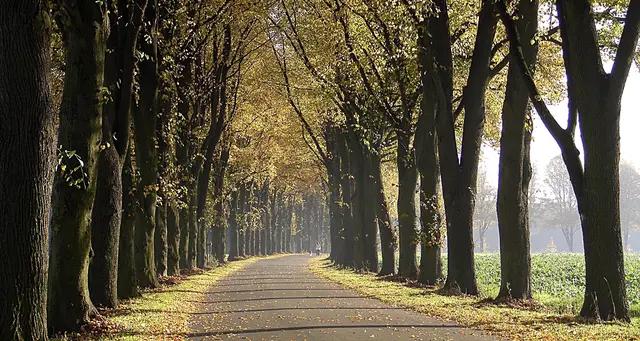 Alleen im Kreis Recklinghausen