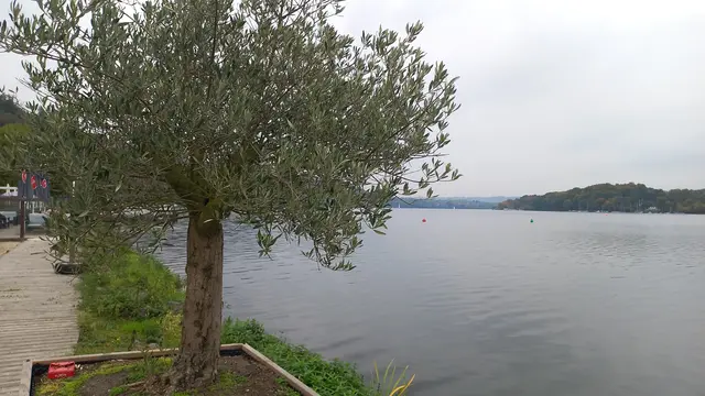 Und still ruht der See