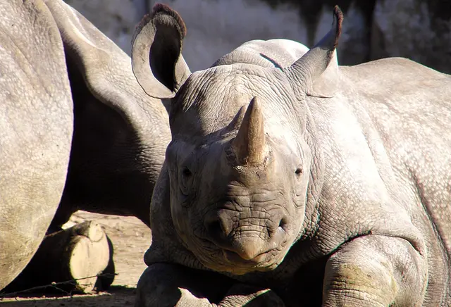 NRW hat tolle Zoos - Hier ist es der Krefelder Zoo