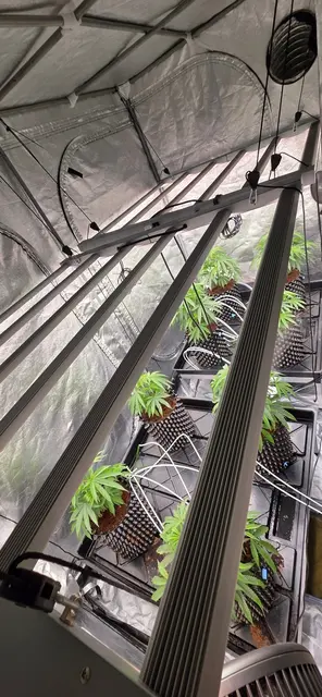 Foto: Foto: Polizei Recklinghausen 