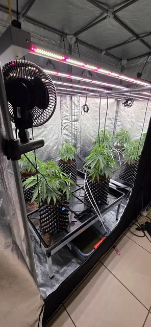 Foto: Foto: Polizei Recklinghausen 