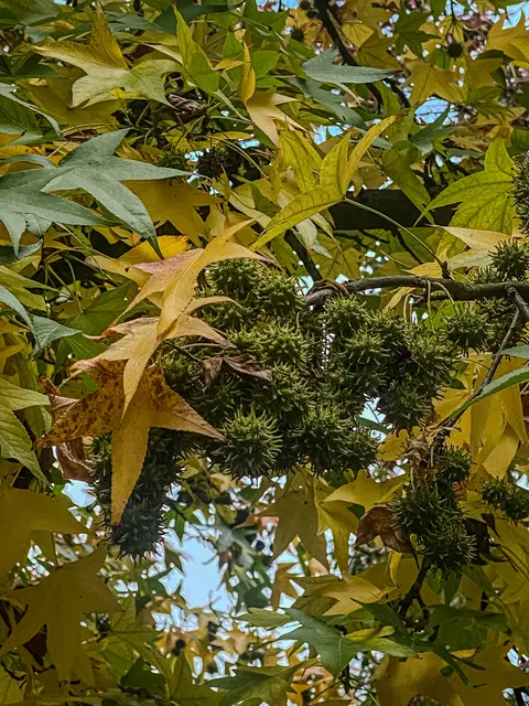 Foto: Kreative Impressionen, Chr. Niersmann