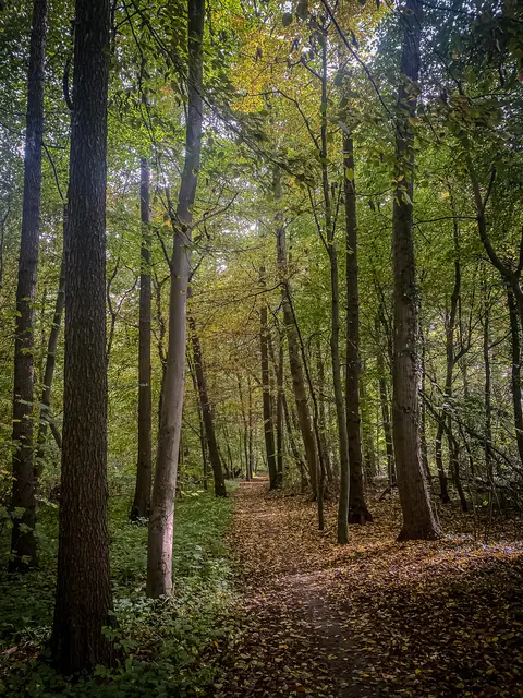 Foto: Kreative Impressionen, Chr. Niersmann