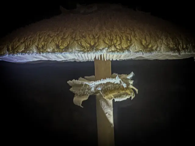 Foto: Kreative Impressionen, Chr. Niersmann