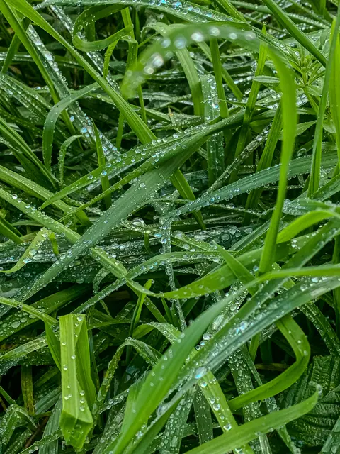 Foto: Kreative Impressionen, Chr. Niersmann