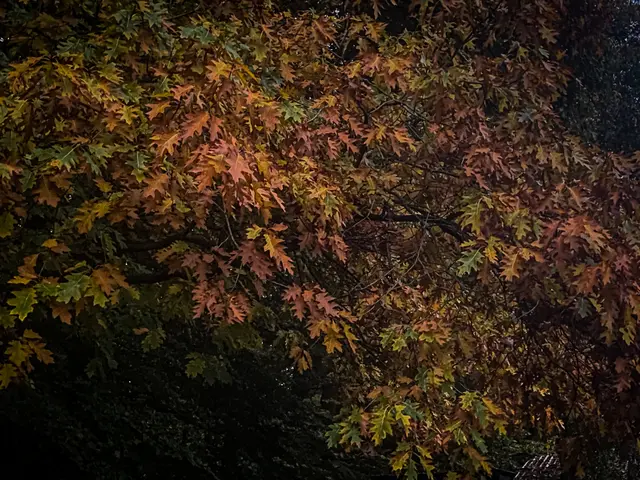 Foto: Kreative Impressionen, Chr. Niersmann