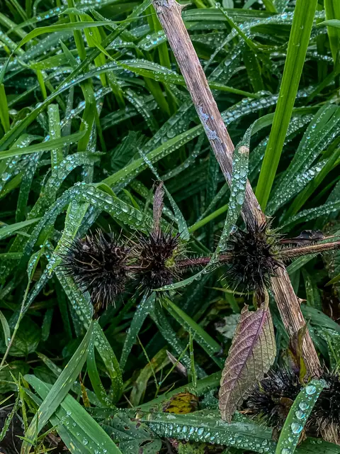 Foto: Kreative Impressionen, Chr. Niersmann