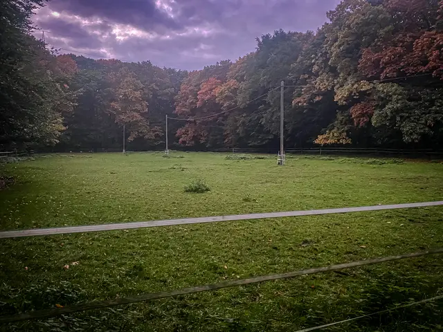 Foto: Kreative Impressionen, Chr. Niersmann