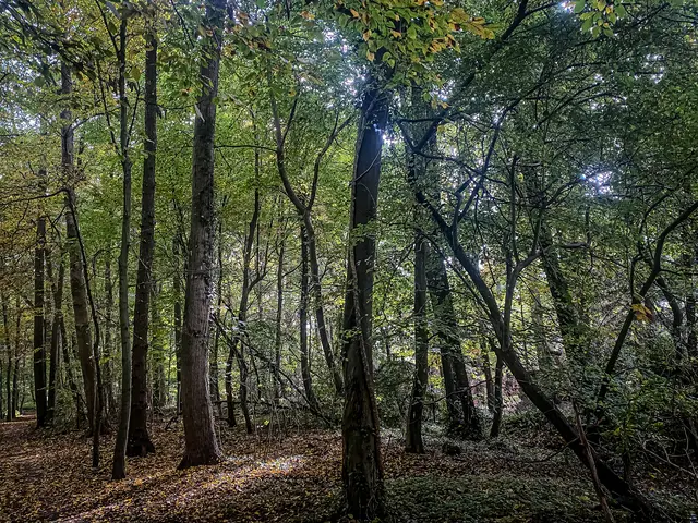 Foto: Kreative Impressionen, Chr. Niersmann