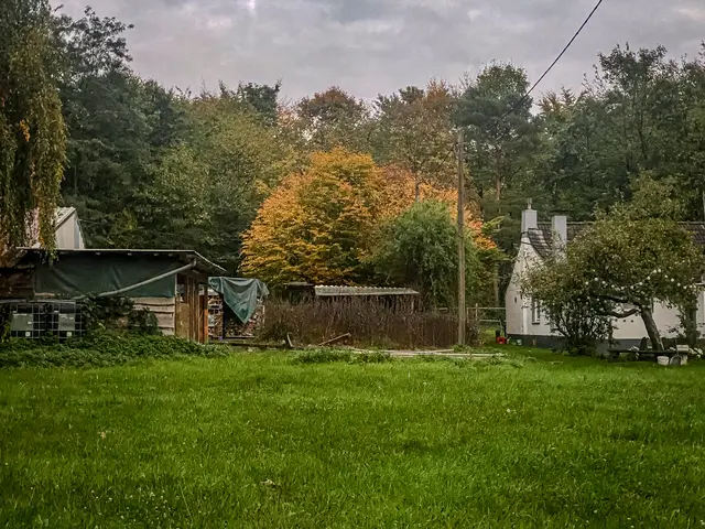 Foto: Kreative Impressionen, Chr. Niersmann