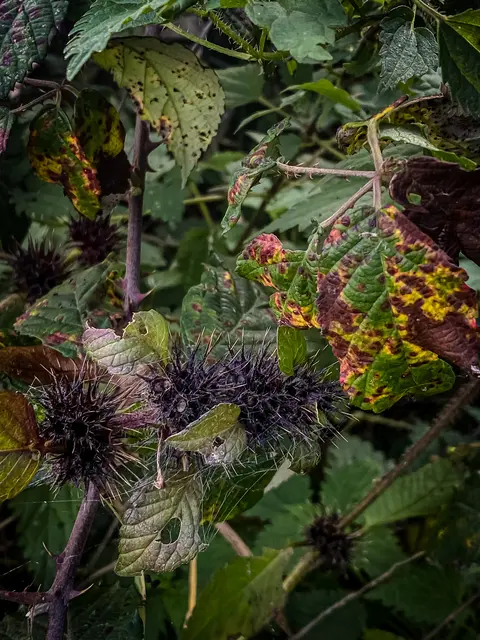 Foto: Kreative Impressionen, Chr. Niersmann