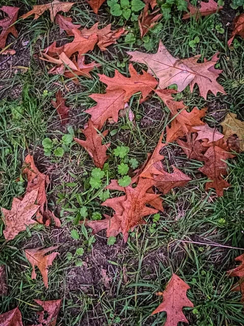 Foto: Kreative Impressionen, Chr. Niersmann