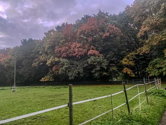 Foto: Kreative Impressionen, Chr. Niersmann