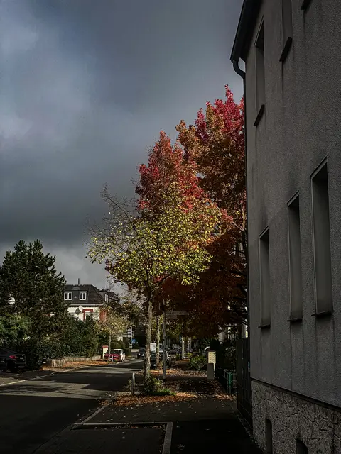 Foto: Kreative Impressionen, Chr. Niersmann