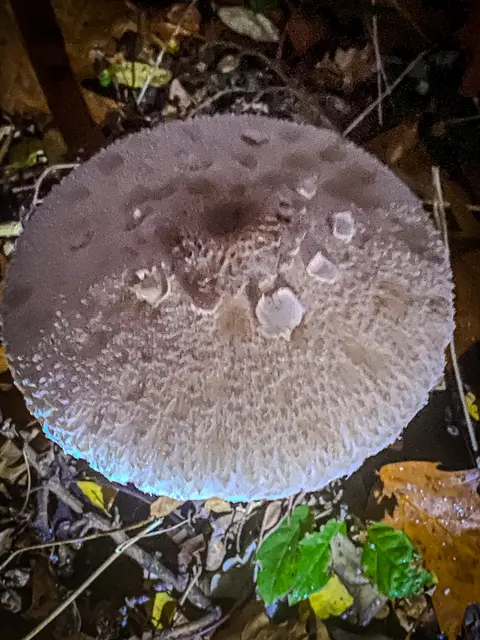 Foto: Kreative Impressionen, Chr. Niersmann