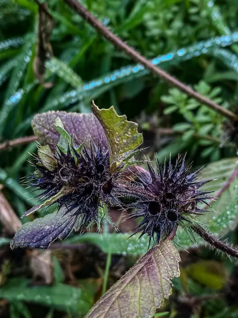 Foto: Kreative Impressionen, Chr. Niersmann