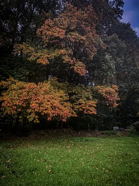 Foto: Kreative Impressionen, Chr. Niersmann