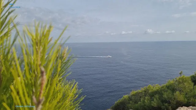 ein SCHIFF 
... wird kommen ....