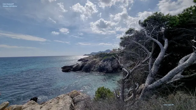 Neues entdecken ....