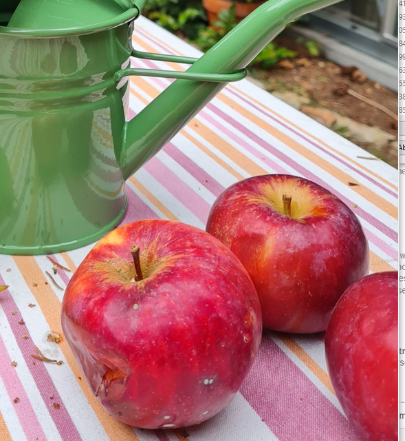Zum "Tag des Apfels" an der Ökologiestation des Kreises Unna wird es wieder einen Apfelkuchen-Wettbewerb geben, mit Unterstützung der Umweltberatung in der Verbraucherzentrale Kamen.