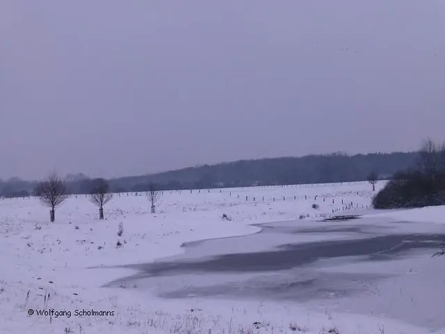 Foto: Text und Foto: Wolfgang Scholmanns