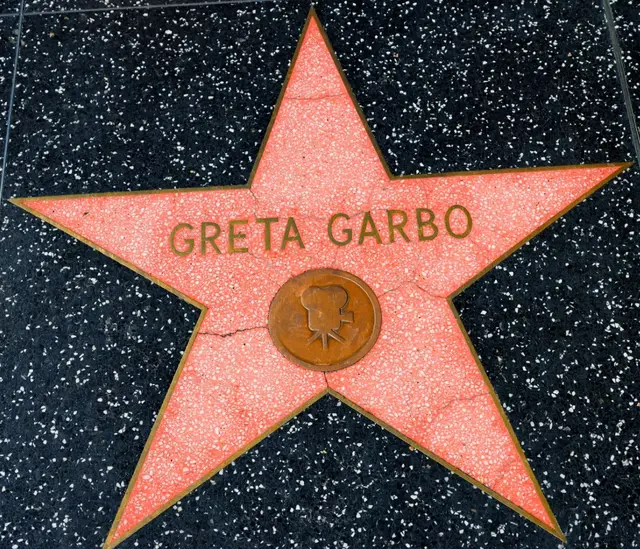 Ein Stern von vielen✨